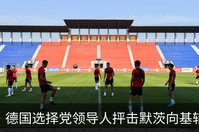 德国选择党领导人抨击默茨向基辅提供新援助：他现在完全失去理智