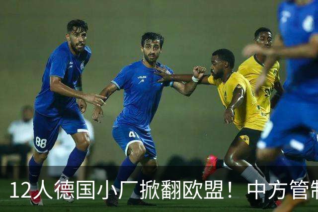 12人德国小厂掀翻欧盟！中方管制精准命中，光刻机巨头坐不住了？